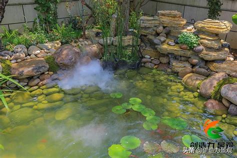 室外魚池風水|【魚池風水】庭園魚池風水指南：破解常見的禁忌，打造招財納福。